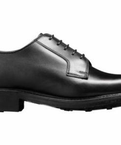 Kendallbostick.shop6cf300528d 2